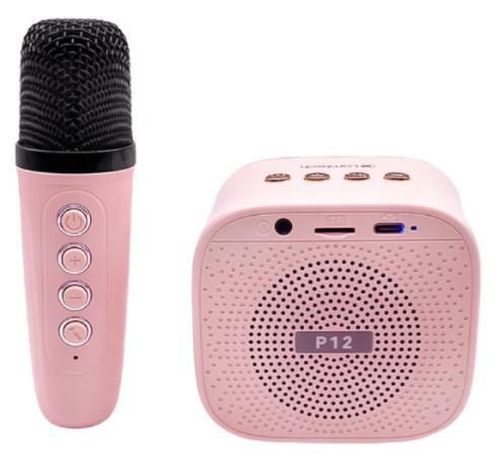 купить Музыкальная игрушка Essa DN12052 Boxă karaoke cu 2 microfoane și lumina LED, Roz в Кишинёве 