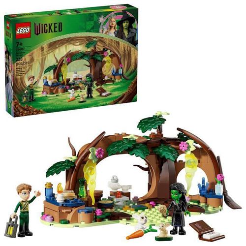 купить Конструктор Lego 75687 Elphaba's Retreat в Кишинёве 