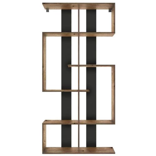 купить Офисный стеллаж Fabrik Home Nr. 3 дуб эвок\ чёрный ясень в Кишинёве 