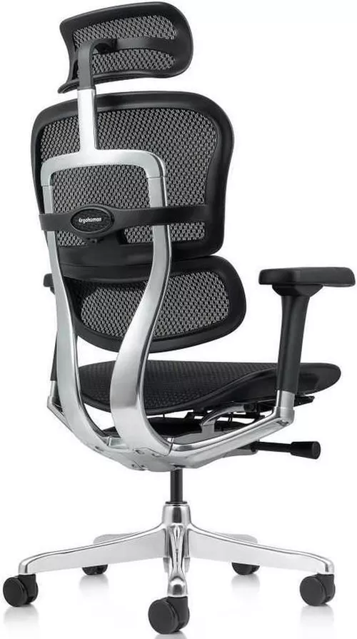 cumpără Fotoliu de birou ART Ergohuman Elite 2 Black T-168-B1 EHE2-AB-HAM-5D-L în Chișinău 