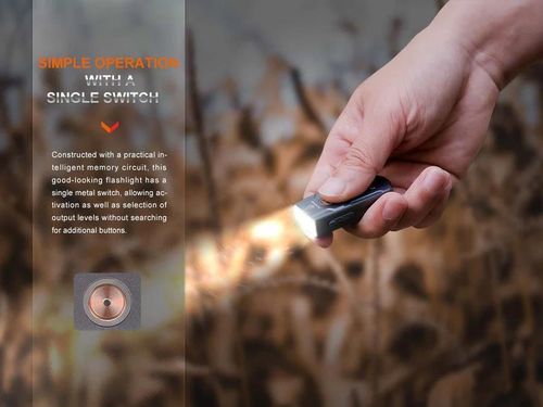 cumpără Lanternă Fenix E03R V2.0 LED Flashlight (Grey) în Chișinău 