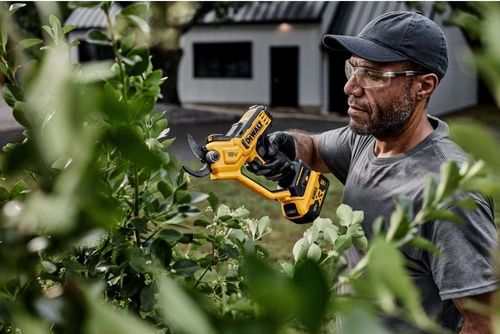 купить Ножницы садовые DeWalt DCMPP568N 18V(fara accumulator) в Кишинёве 