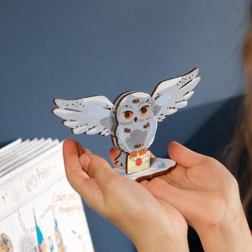 cumpără Puzzle Ugears 60898 3D Puzzle de colorat Hedwig în Chișinău 