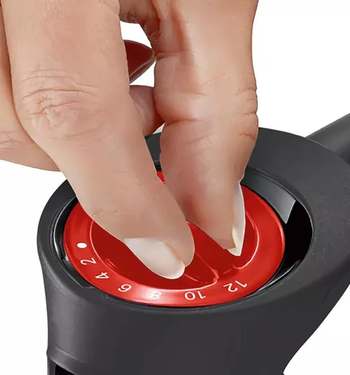 купить Блендер погружной Bosch MS6CB6110 в Кишинёве 