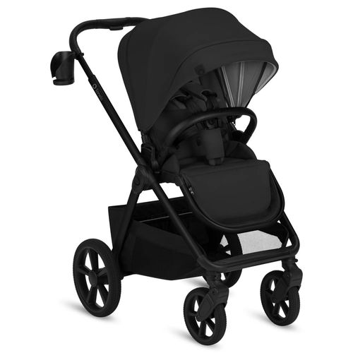 купить Детская коляска Lionelo Carucior 2in1 Carmine Black Onyx в Кишинёве 