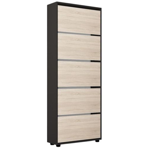 купить Полка для обуви Mobildor-Lux Leo 100x27x203H cm Anthracite/Sonoma в Кишинёве 