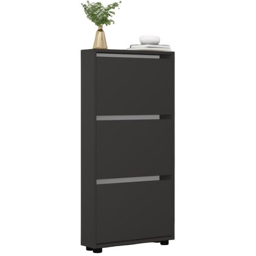 cumpără Raft pentru încălțăminte Mobildor-Lux Leo Slim 60x16x125H cm Anthracite în Chișinău 