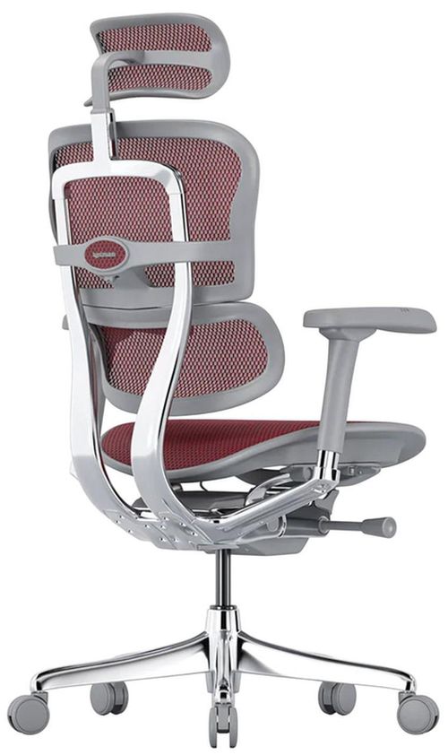 купить Офисное кресло ART Ergohuman Elite 2 Scarlet T-168-B3 EHE2-AG-HAM-5D-L в Кишинёве 