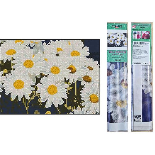 cumpără Tablou pe numere Strateg 57303 Mozaic cu diamante 30x40cm Camp de margarete în Chișinău 