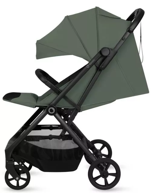 купить Детская коляска Lionelo Tansi Green Emerald в Кишинёве 