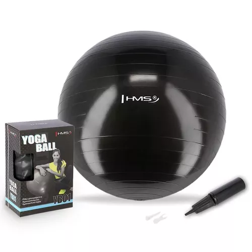 cumpără Minge HMS 367 Minge gimnastica d=55cm cu pompa Black YB01 (17-42-157) în Chișinău 