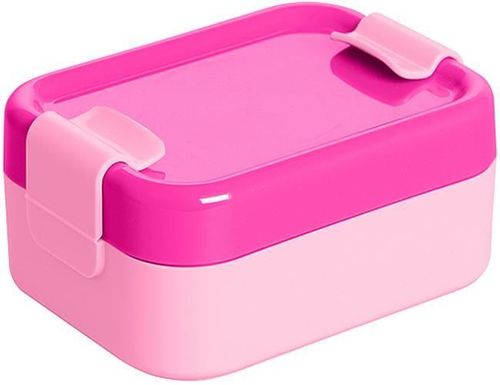 cumpără Container alimentare Plast Team 1781 Lunch-box Hilo 0,42l în Chișinău 