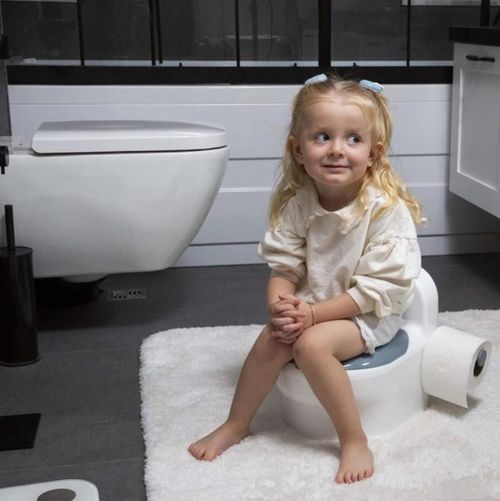 купить Детский горшок BabyJem 863 Olita cu sunete Alba в Кишинёве 