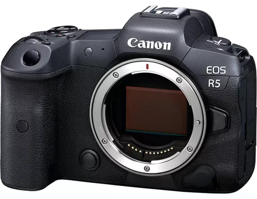 купить Фотоаппарат беззеркальный Canon EOS R5 Body (4147C005) в Кишинёве 