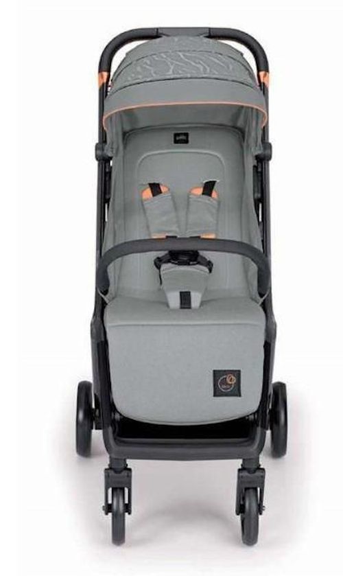 cumpără Сărucior pentru copii CAM Oliver ART824/210 Grigio în Chișinău 
