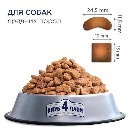 купить Корм для питомцев CLUB 4 PAWS 24231005 Sac caini rase medii 20 kg в Кишинёве 