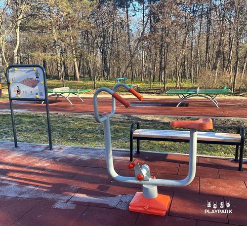 cumpără Echipament pentru exerciții în aer liber PlayPark 2104 Bicicleta B-04 în Chișinău 