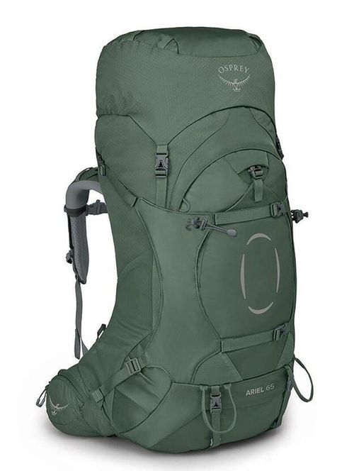cumpără Rucsac turistic Osprey Ariel 65 Koseret Green Wm/Wl (843820199529) în Chișinău 
