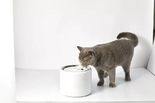 купить Миска для собак и кошек Petkit Eversweet 3 Pro (UVC) Smart Pet Drinking Fountain, white в Кишинёве 