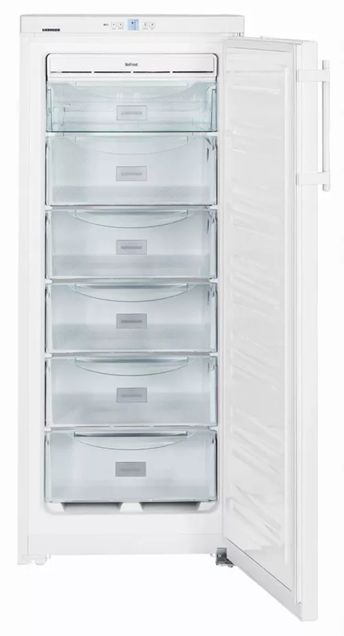 купить Морозильник Liebherr GNP 2313 в Кишинёве 