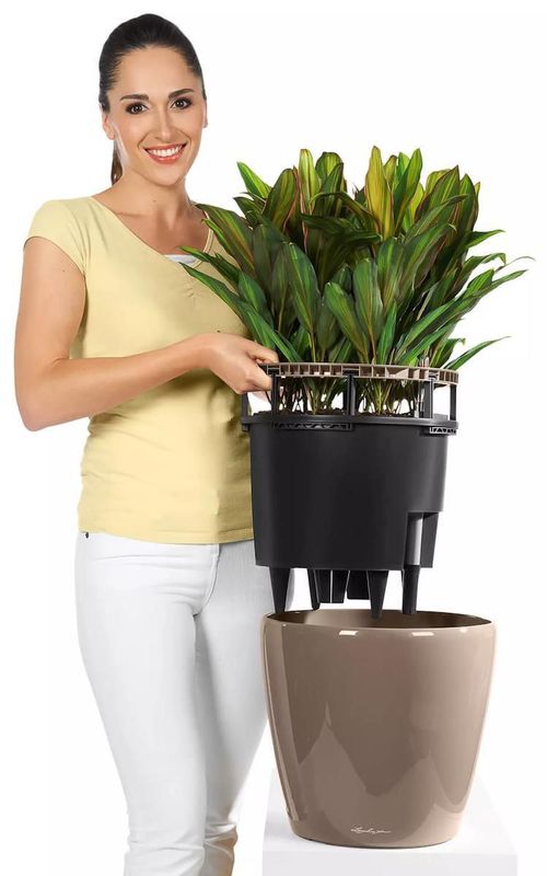 cumpără Ghiveci pentru flori Lechuza Classico Premium 50 LS, Charcoal în Chișinău 