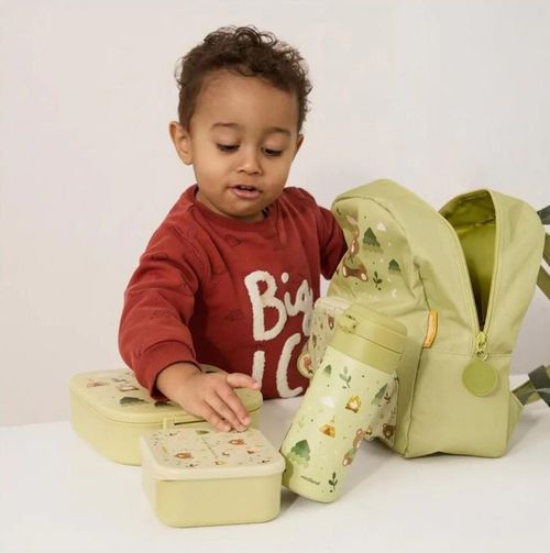cumpără Rucsac pentru copii Miniland 89709 Rucsac pentru copii Explorator în Chișinău 
