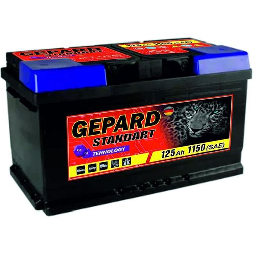 cumpără Acumulator auto Gepard Standart 125 AH 1150A (345x175x233) în Chișinău 