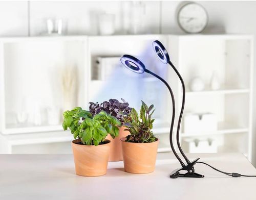 cumpără Lampă de masă și corp de iluminat Xavax 112696 Circle Plant Lamp în Chișinău 