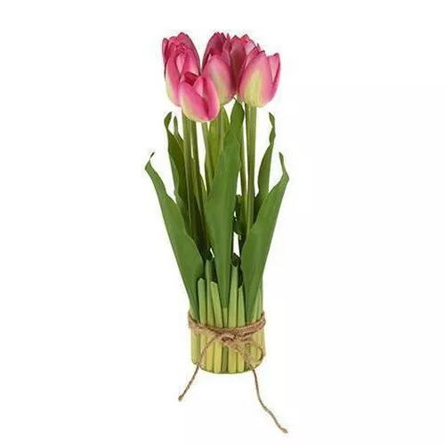 купить Декор Holland 47371 NVT Цветы искусственные Тюльпаны 9шт 28x7cm связка в Кишинёве 