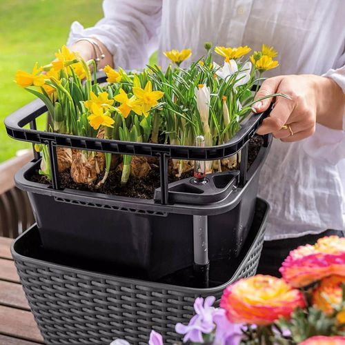 cumpără Ghiveci pentru flori Lechuza Bacino Cottage, Mocha în Chișinău 