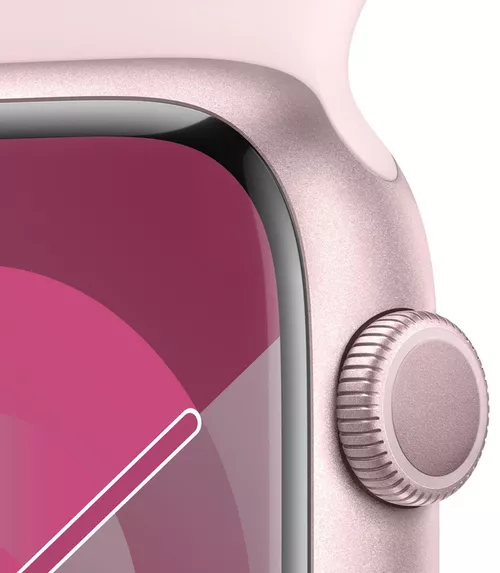 cumpără Ceas inteligent Apple Watch Series 9 GPS 45mm Pink - M/L MR9H3 în Chișinău 