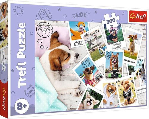 cumpără Puzzle Trefl R25K /14(R25C /32/33) (23003) 300 Holiday pictures în Chișinău 