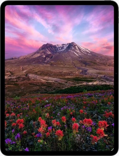 cumpără Tabletă PC Apple iPad Pro 13 2025 5G M5 512GB Black ME7Y4 în Chișinău 