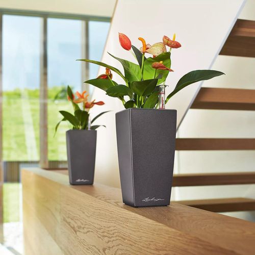 купить Цветочный горшок Lechuza Mini Cubi Premium 9, Charcoal в Кишинёве 