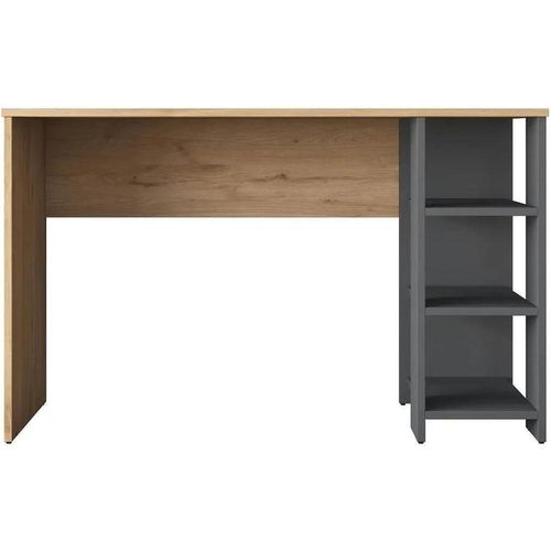 купить Офисный стол Rani HA108 Walnut Anthracite в Кишинёве 