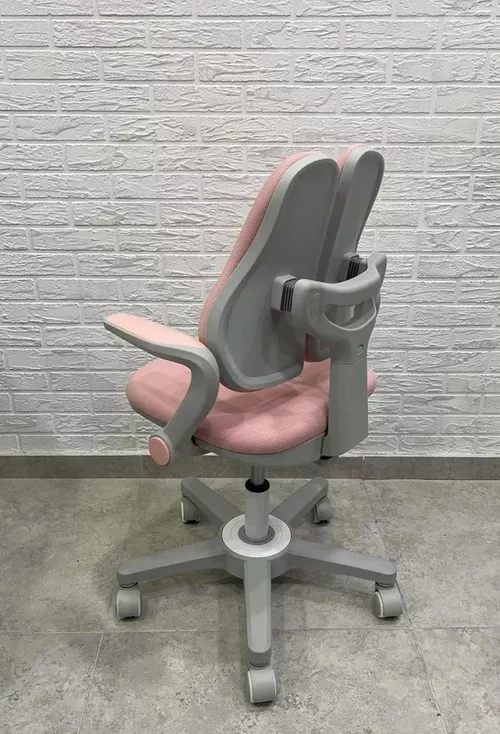 купить Офисное кресло ART Ergo-Kid-001, pink в Кишинёве 