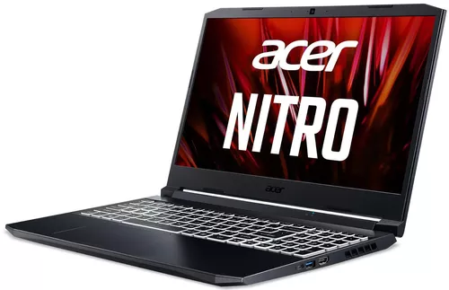 купить Ноутбук Acer Nitro AN515-57 Shale Black (NH.QFGEU.007) в Кишинёве 