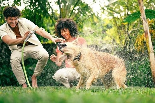 купить Фотоаппарат беззеркальный Nikon Z5II Kit 24-120 в Кишинёве 