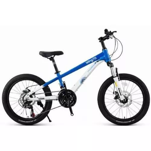 cumpără Bicicletă New World YUE FENG Bicicleta cu 2 roti, 20", albastru-alb, 2362D în Chișinău 