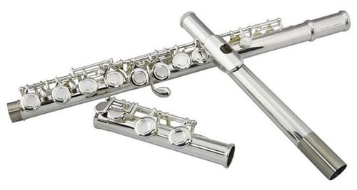 cumpără Instrument muzical de suflat Clifton Flaut A0495 în Chișinău 
