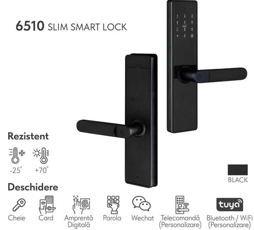 купить Умный дверной замок ArtFlame 6510 Slim smart lock в Кишинёве 