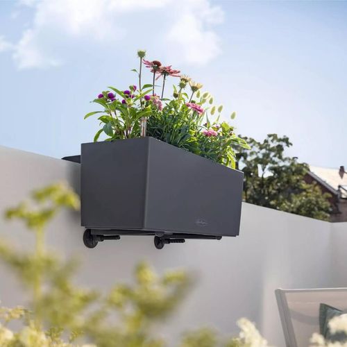 cumpără Suport pentru flori Lechuza Brackets Balconera Wall Black în Chișinău 