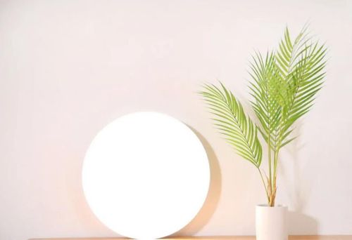 cumpără Corp de iluminat interior Yeelight 00051 Arwen Ceiling Light 550C în Chișinău 