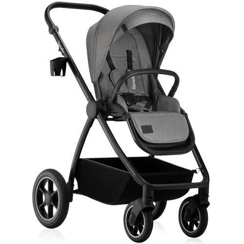 купить Детская коляска Lionelo Carucior 2in1 Meril Grey Stone в Кишинёве 