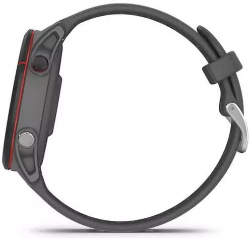 купить Смарт часы Garmin Forerunner 255 Slate Grey (010-02641-10) в Кишинёве 