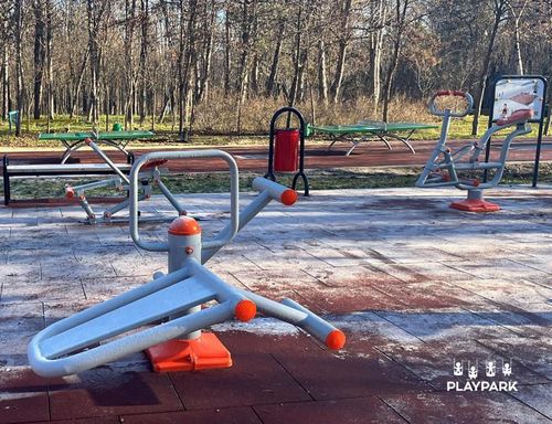 купить Уличный тренажер PlayPark 2112 Abdomen+Spate B-12 в Кишинёве 