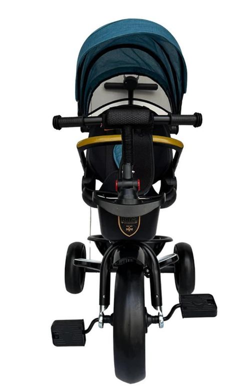 купить Велосипед-коляска Richi (95834) Tricicleta verde pentru copii (JTRX1) в Кишинёве 