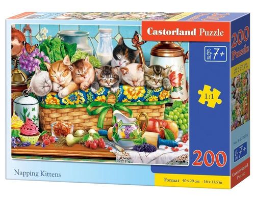 купить Головоломка Castorland Puzzle B-222278 Puzzle 200 elemente в Кишинёве 