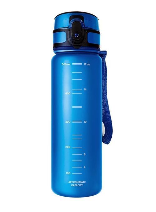купить Бутылочка для воды Aquaphor Голубая 0,5l в Кишинёве 