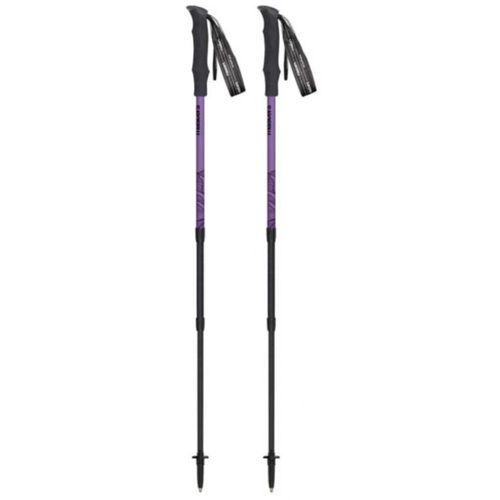 cumpără Bețe pentru trekking Masters HIKER Compact Lite 01S1125 în Chișinău 